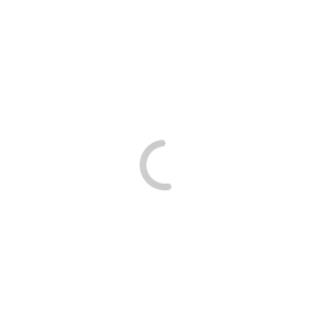 Regular Neural Voices